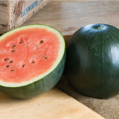 Sugar Baby Watermelon