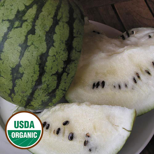 Cream of Saskatchewan Watermelon