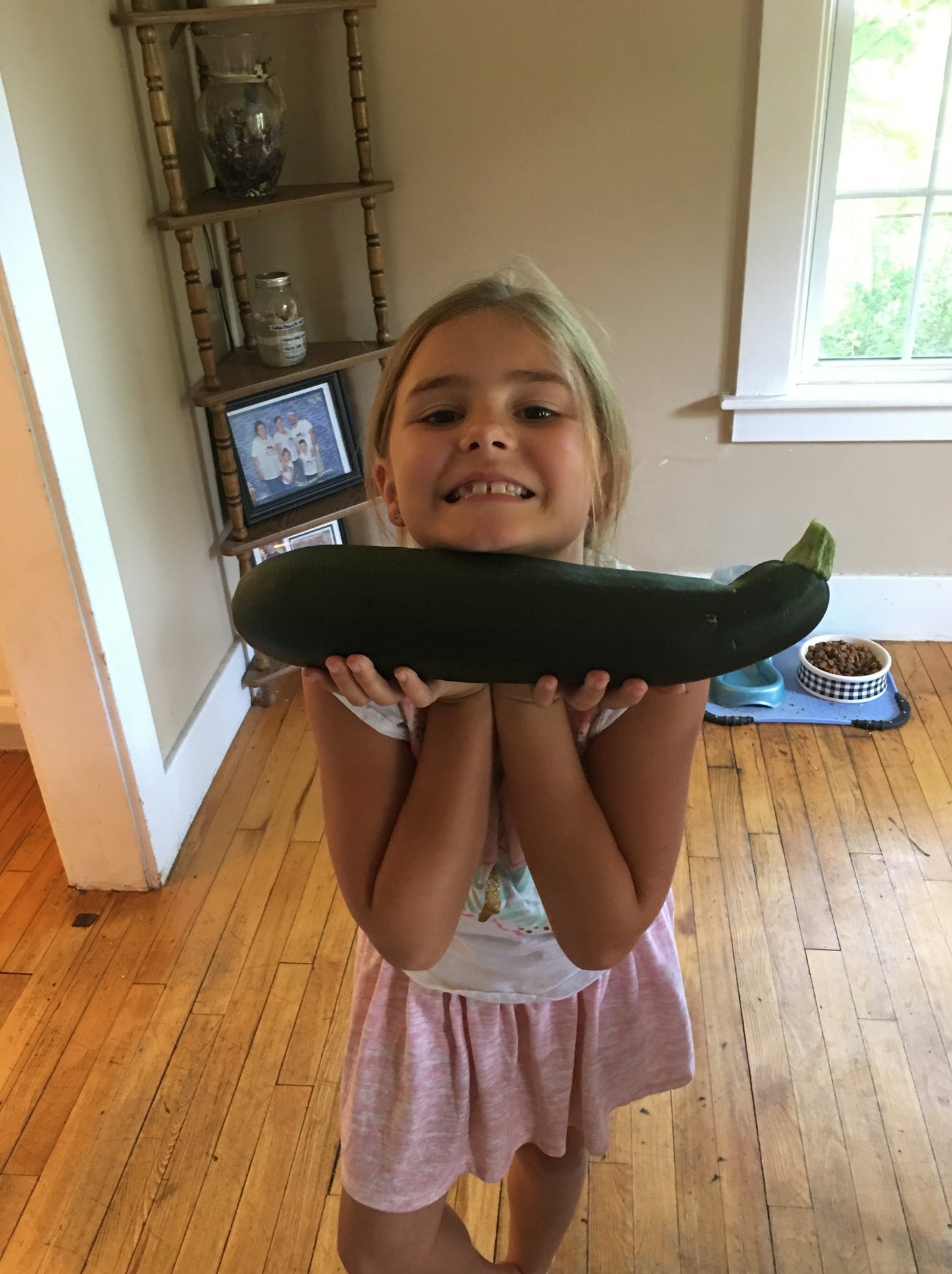 Black Beauty Zucchini