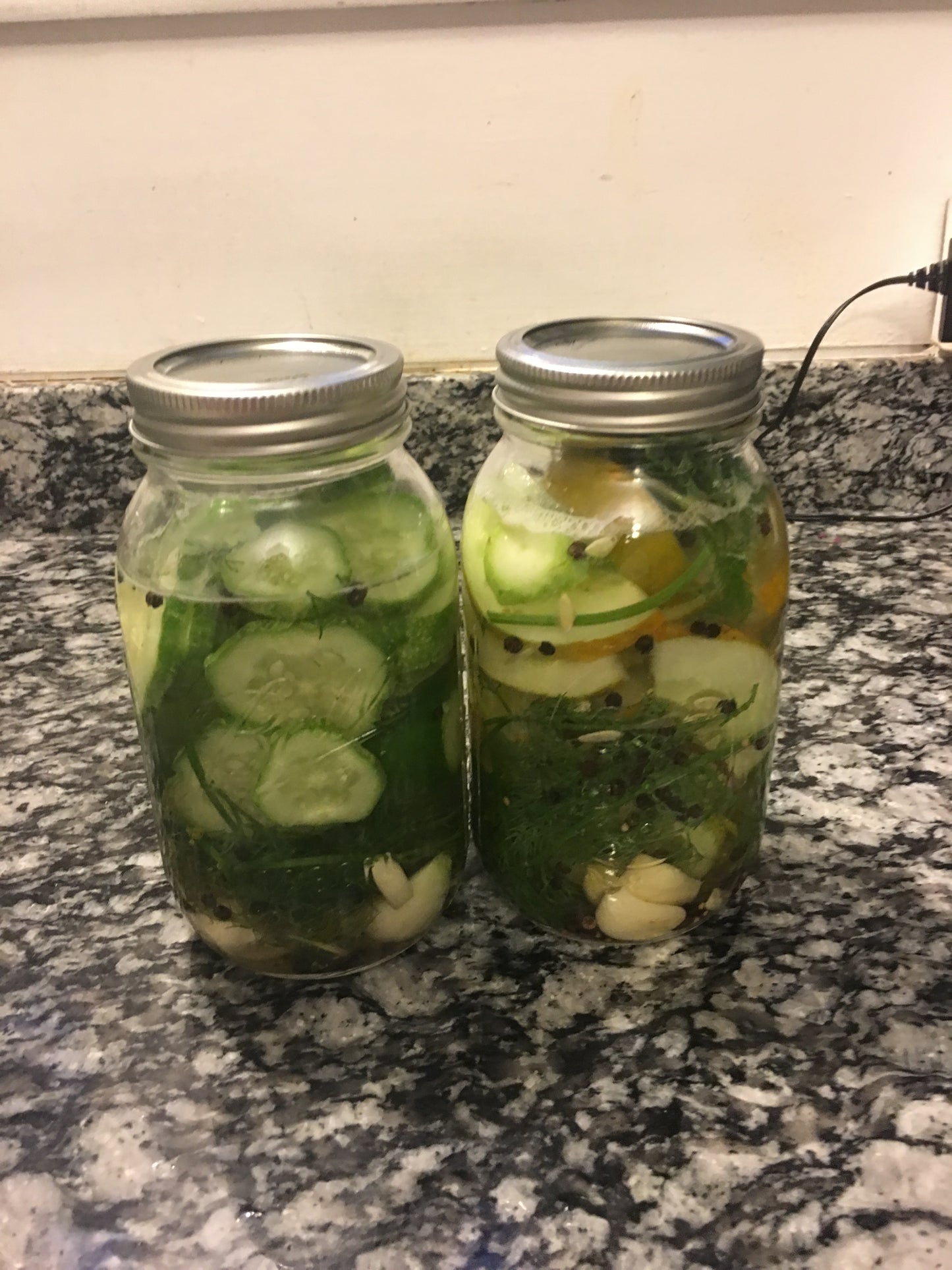 Boston Pickling Cucumber