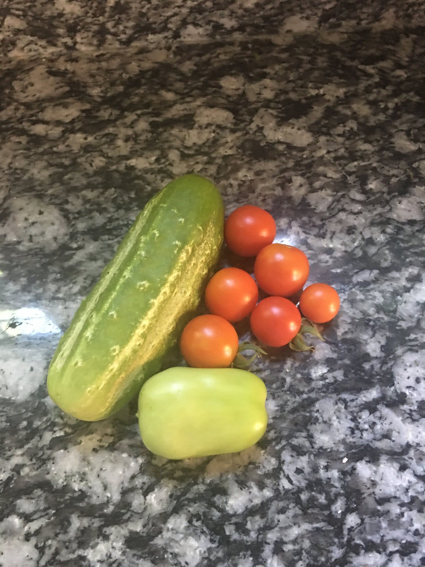 Boston Pickling Cucumber