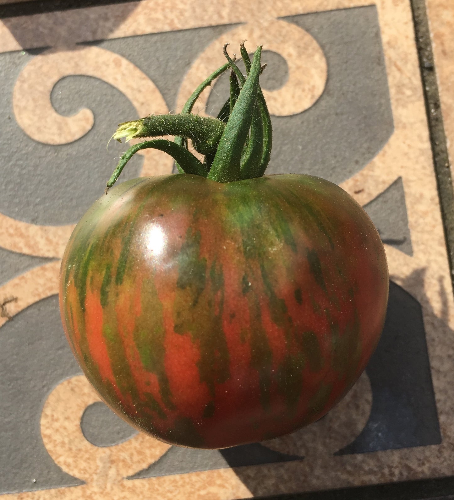 Pink Boar Tomato