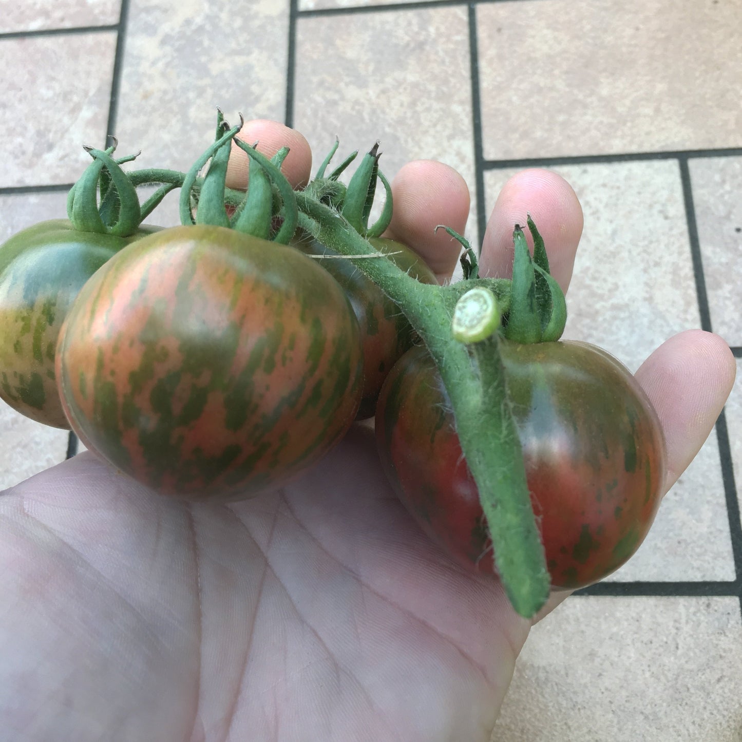 Pink Boar Tomato