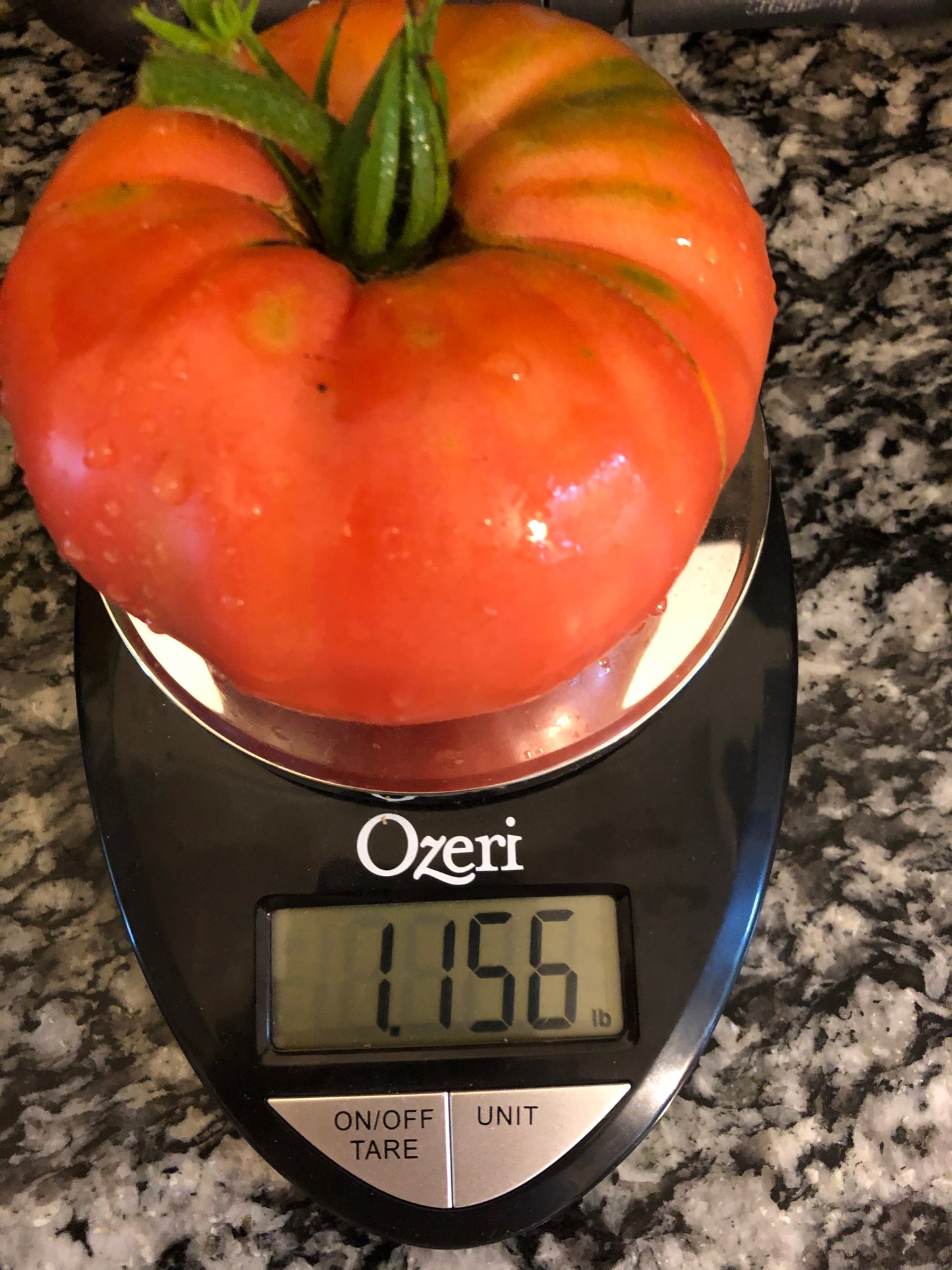 Pink Brandywine Tomato