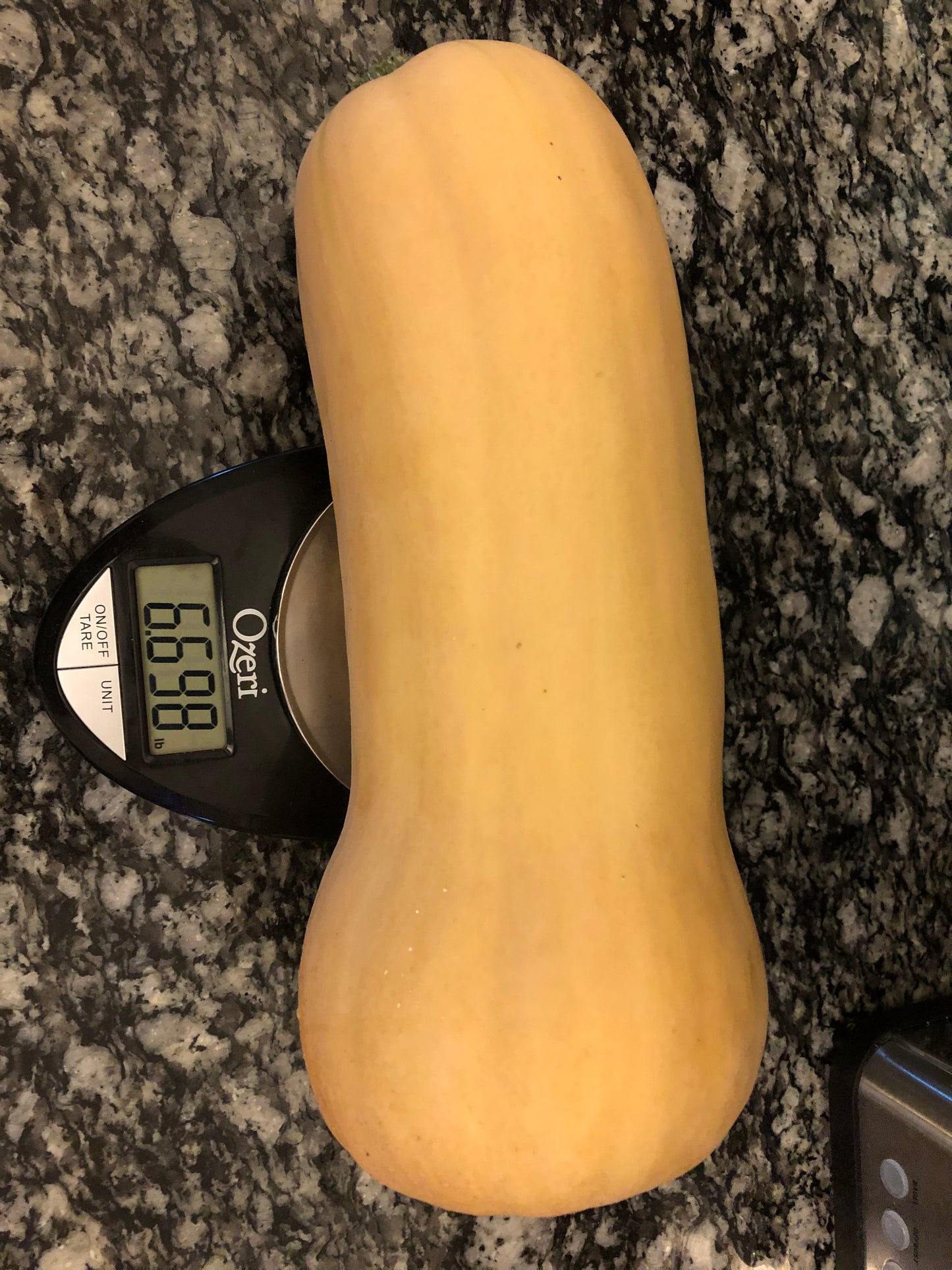 Waltham Butternut Squash