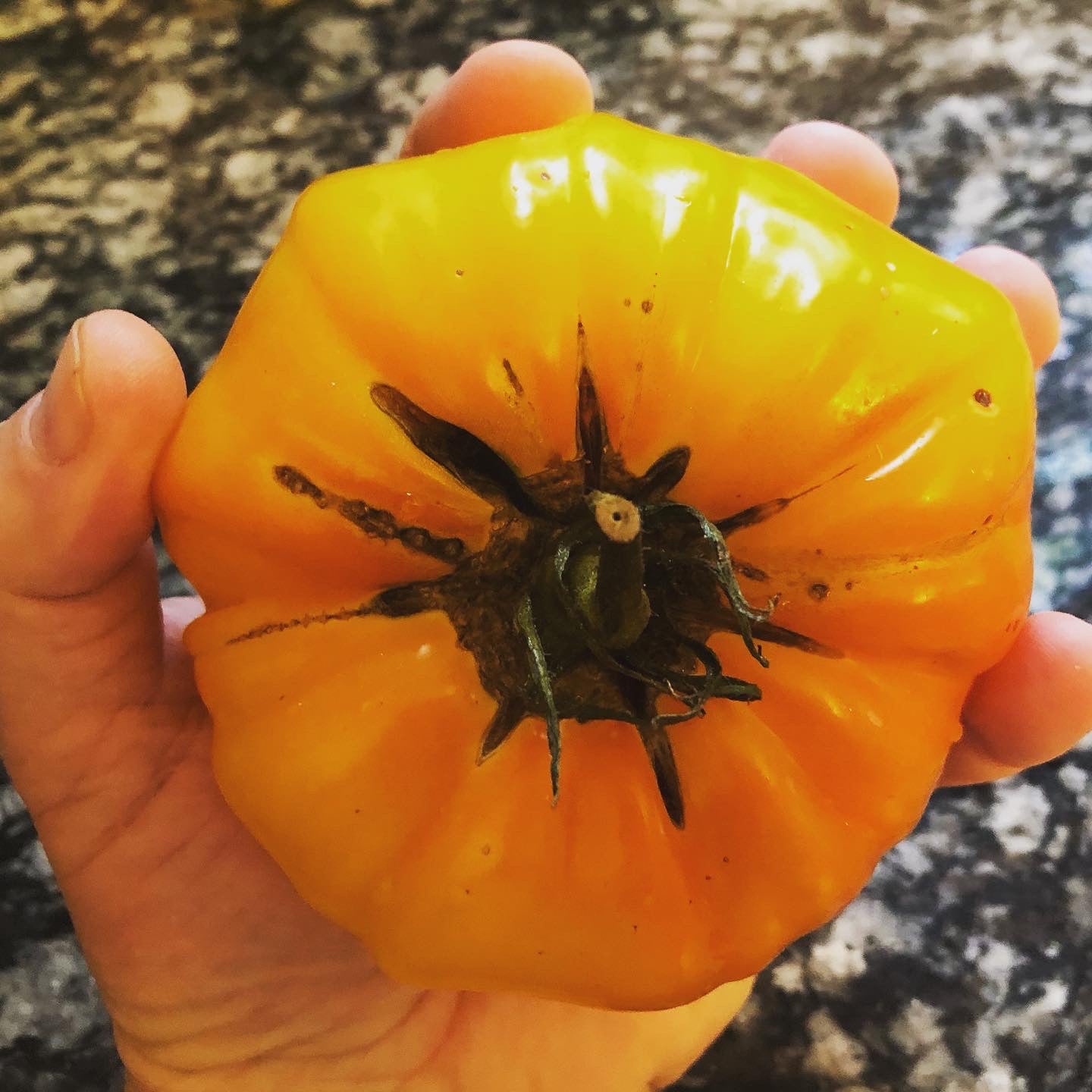 Pineapple Tomato