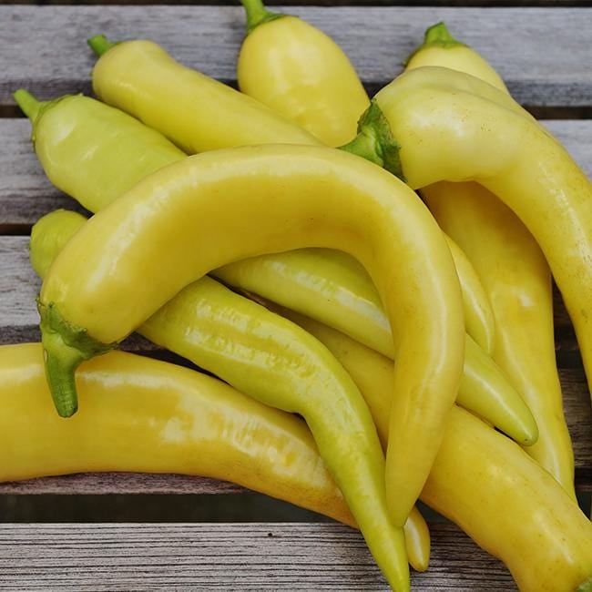 Banana Pepper (Sweet)