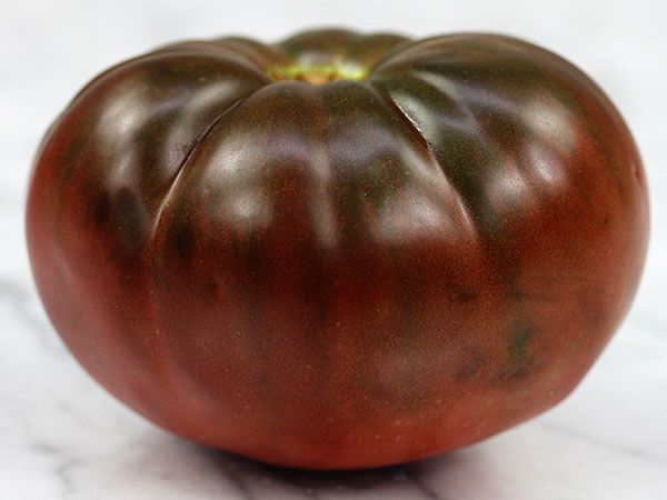 Black Brandywine Tomato