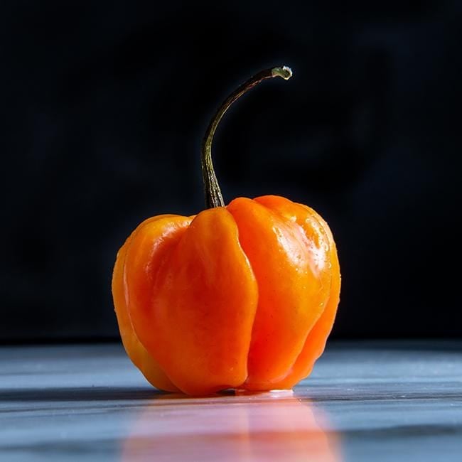 Scotch Bonnet (Orange) Hot Pepper (Very Hot)