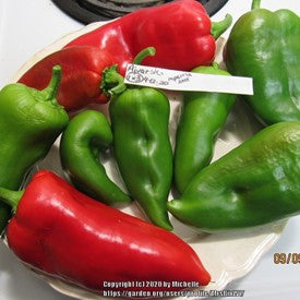 Ajvarski Roasting Pepper (Sweet)