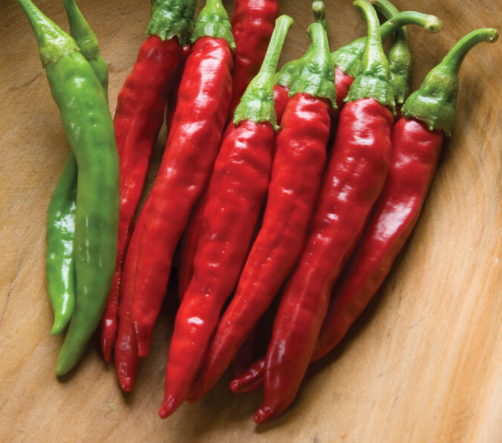 Red Rocket Cayenne Pepper (Mild Hot)